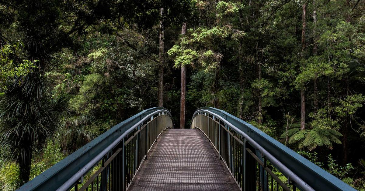 How to Find the Right Dispensary Near Me: A Fairbanks Buyer’s Guide